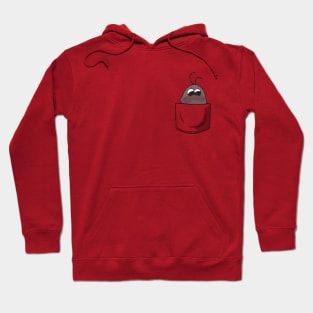 Pocket Boota Hoodie